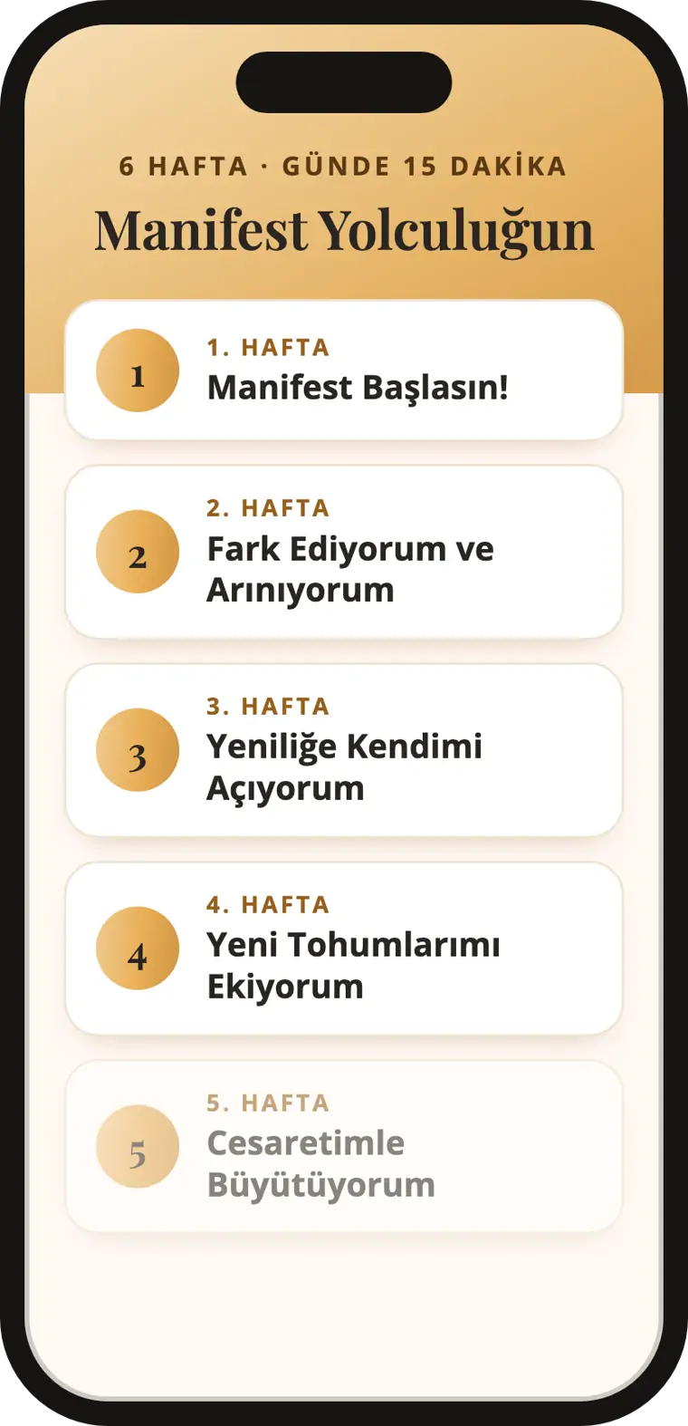 Manifest Programının 6 haftası telefonda